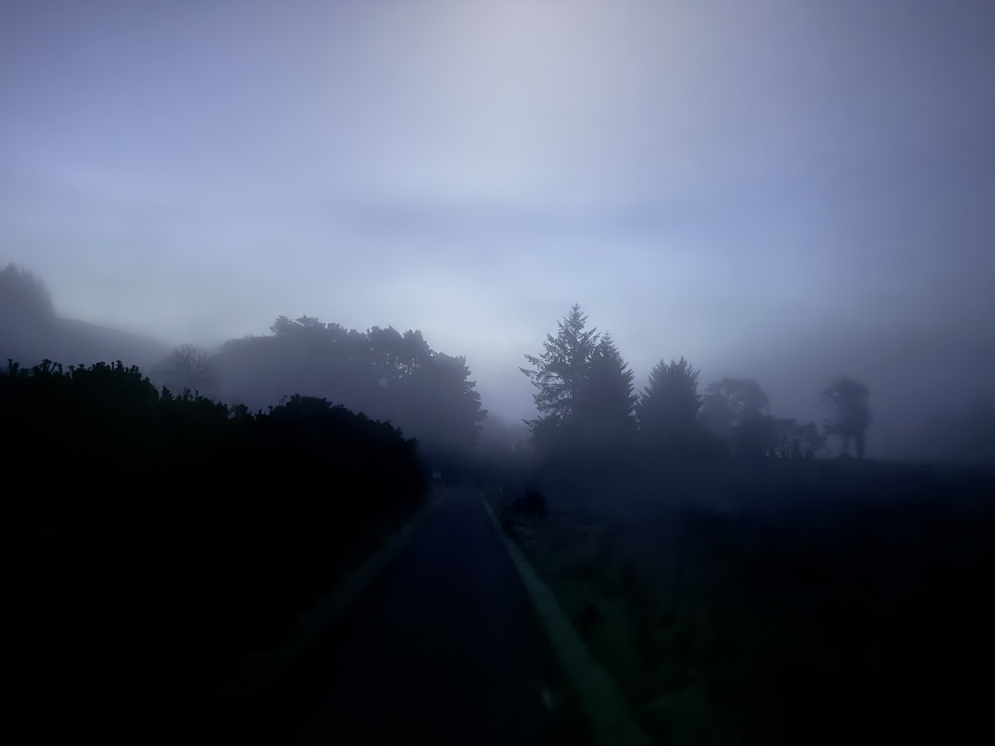 A road disappearing into thick mist at dawn