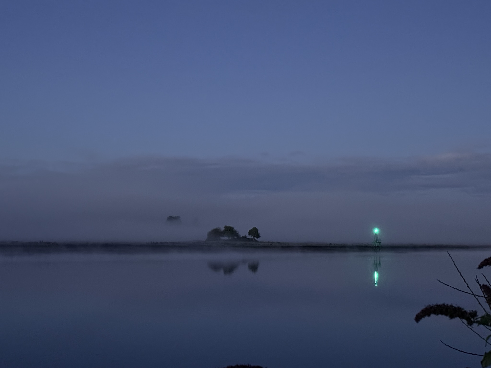 Trees and a green navigation light standing out of the mist, reflected in the Clyde